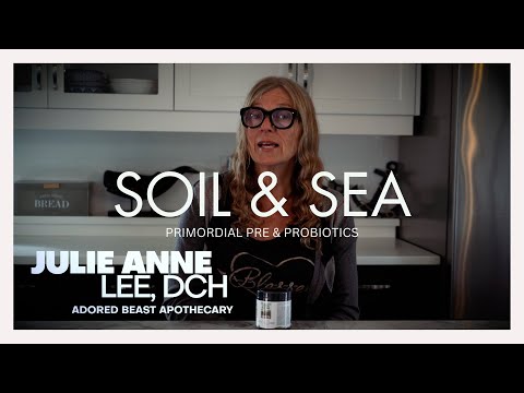 Roots - Soil & Sea | Primordial Pre & Probiotics