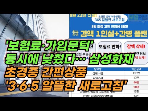 '보험료·가입문턱' 동시에 낮췄다… 삼성화재 초경증 간편상품 '3·6·5 알뜰한 새로고침' 신규 판매