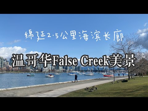 🇨🇦温哥华最美海滨长廊Seawall by False Creek |春暖花开多出来走走心情也会变好呢！福溪海边步道有多美！Best beach walk in Vancouver BC