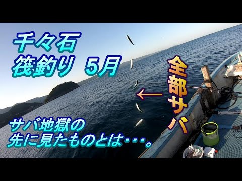 沖筏はサバゴ地獄！　しかし、ワンチャンありました！