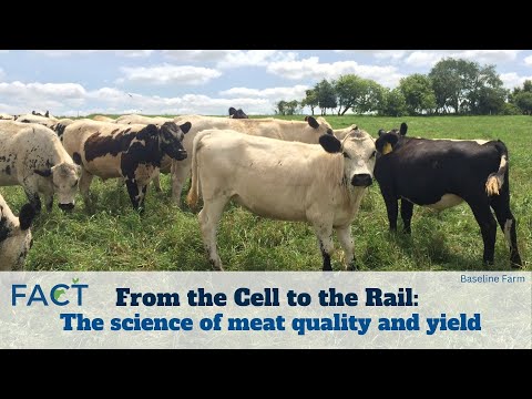 From the Cell to the Rail: The science of meat quality and yield