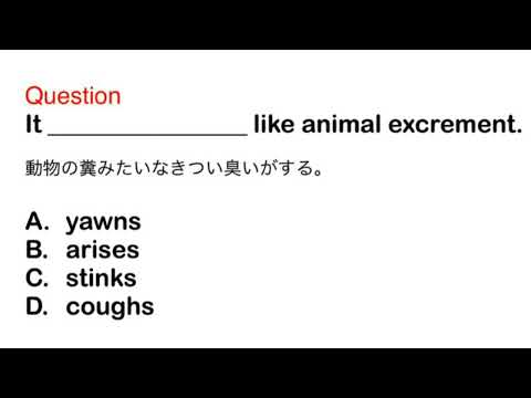 2410. 接客、おもてなし、ビジネス、日常英語、和訳、日本語、文法問題、TOEIC Part 5