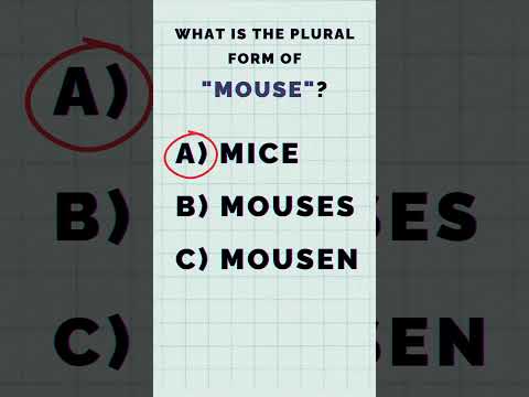 English Quiz: Can You Answer These Animal Plural Questions