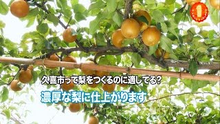 3分でわかる「久喜の梨」【久喜市ＰＲビデオ】