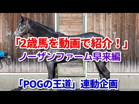 「2歳馬を動画で紹介！」ノーザンファーム早来編【POGの王道】