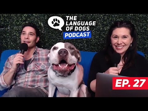 The Language of Dogs Podcast EP.027  "6 WORDS ALL DOGS NEED TO KNOW PART 2" W/ Justin Silver