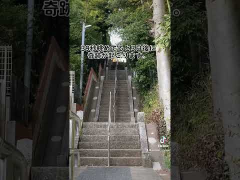 この神社⛩動画が自然に表示された方あなたの願いが叶います。