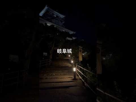 岐阜城、金華山ロープウェイ#夜景#shorts