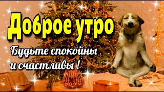 🎄🎄🎄Доброго  утра благословенного  дня!🎄💗Красивое музыкальное пожелание