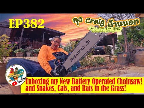 EP382 Unboxing my New Battery-Operated Chainsaw! and Snakes, Cats, and Rats in the Grass!