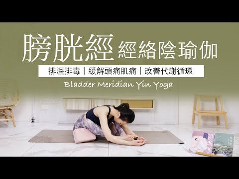 【膀胱經 | 陰瑜伽】40分鐘 #meridian Yin Yoga ★ #經絡 #緩解頭痛 #改善代謝循環 #排溼排毒 #yinyoga