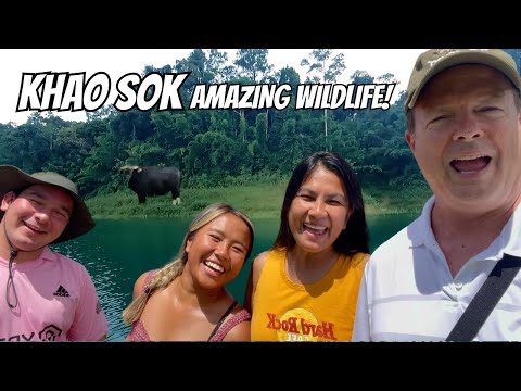 KHAO SOK: Our Amazing Last Day Viewing Wildlife