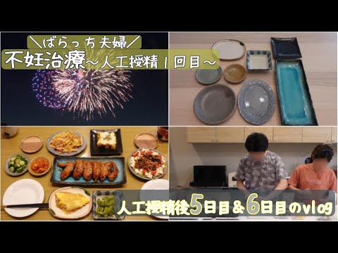 【不妊治療】【おうち居酒屋】vlog/人工授精後5＆6日目/せともの祭り/花火/購入した食器だけで料理/1人目妊活中