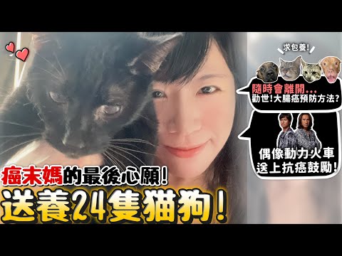 癌末媽最後心願!送養24貓狗!求包養!大腸癌末期!一定可以預防大腸癌的辦法?講到送走愛狗就哭了!偶像動力火車送上抗癌鼓勵!【許伯簡芝】