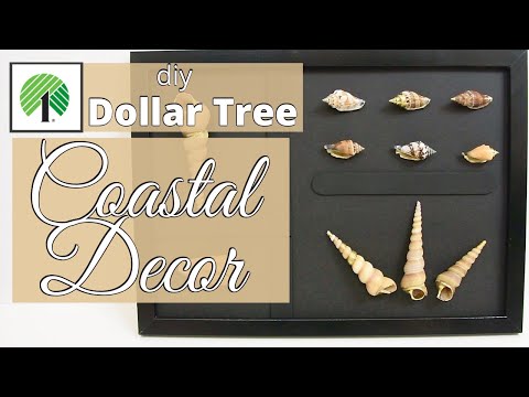 DOLLAR TREE diy Coastal Decor | Seashell Display