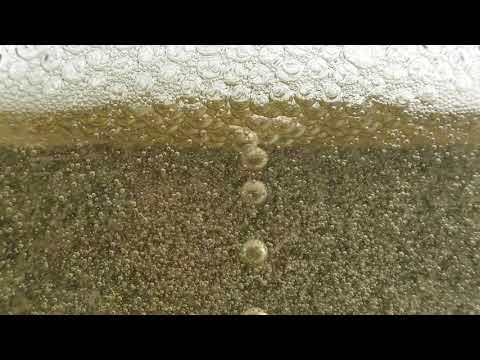 Air Bubbles | Copyright Free Video Footage