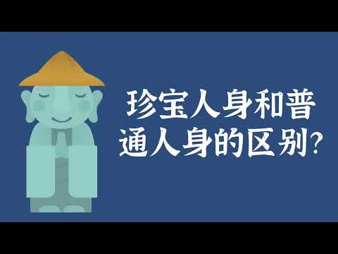 珍宝人身和普通人身的区别？——佛法常识