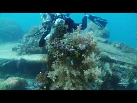 Zero Fighter, Truk Lagoon. Dive this Japanese WWII Zero Fighter plane with Blue Lagoon Dive Shop.