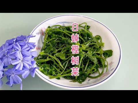 簕菜也叫榄树菜,是一种解百毒功效的野菜,你吃过吗?