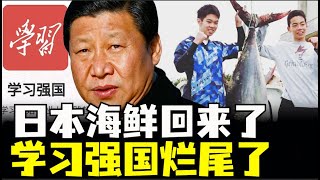 日本海鲜回来了，不反日了？日本员工离开中国公司付钱，学习强国烂尾了，金融行业大减薪，岁月静好到没钱养老（小木谈天第485期202409021）