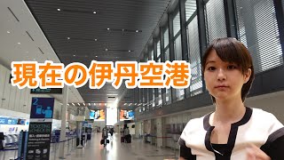 伊丹空港に行って飛行機に乗ってきました！