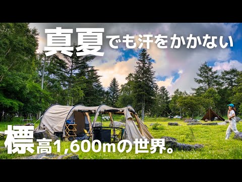 まるでRPGの世界。霧ヶ峰高原で夏キャンプ