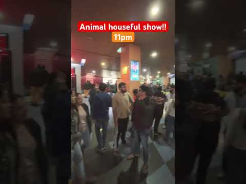 Animal is out of control | Ranbir kapoor smashed the box office | Arjan Vailley | #shorts #animal