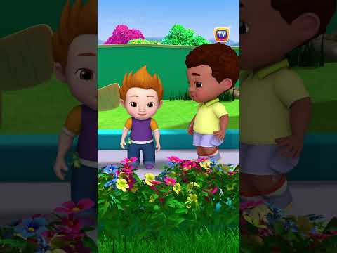 Five Senses Song #Shorts #ChuChuTV #NurseryRhymes #kidsshorts #learningsongs