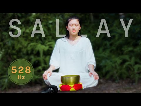 SOLFEGGIO FREQUENCIES 528Hz - MEDITATION MUSIC + Tibetan Singing Bowls Sound Healing For Deep Sleep