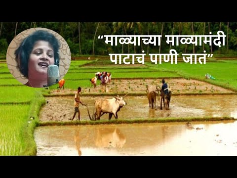 “माळ्याच्या माळ्यामंदी पाटाचं पाणी जातं” कव्हर प्रतिभा थोरात