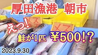 【北海道】秋鮭求めて厚田港朝市へ🐟️売場は鮭だらけ🤩今後の朝市情報も🔎