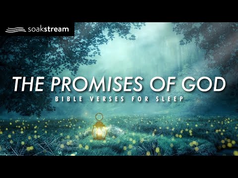 The Promises of God | Bible Verses For Sleep