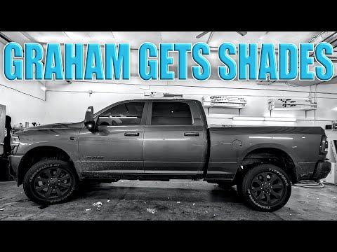 Graham The Ram Gets Tint! | Cutest Kitties