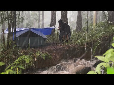 Long Heavy Rainstorm‼️Camping in Long Heavy Rain Around the River‼️