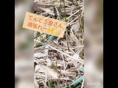 雨上がりの天山から雨山へ②美しい岩清水♪