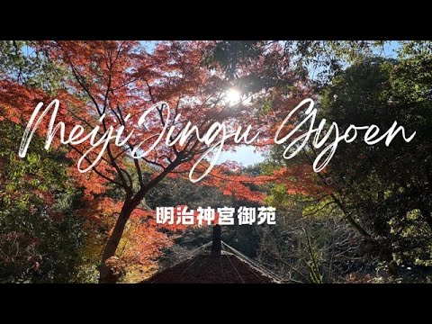 Winter day in Tokyo（Meiji Jingu Gyoen）東京での冬の一日（明治神宮御苑）