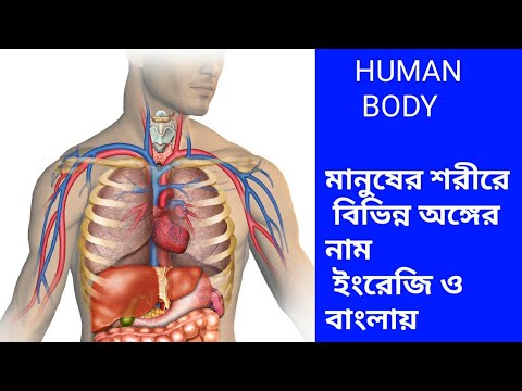 Human body parts name in English to Bengali | human body all parts name | body parts name | body