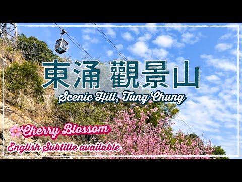 〖Hong Kong Travel〗🇭🇰Hiking - Scenic Hill, Tung Chung｜Cherry Blossom 2022｜Subtitled // 東涌觀景山｜香港行山好去處