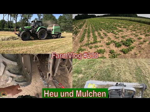 Farmvlog #258:  Heu, Mulchen, Hubwerk überarbeiten | Wie sehen die Bestände aus