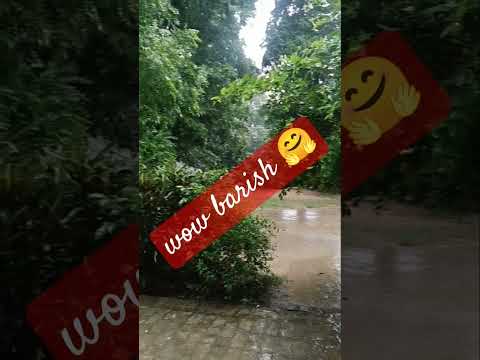 Barish #garden #shorts #barish #mittidikhusboo🤗🌧️⛈️