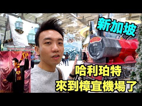 【Eng Sub】Singapore：Harry Potter Wizarding World is now at Changi Airport！ | Stormscape