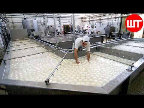 How Fresh Mozzarella Is Made | Buffalo Milk Cheese Factory