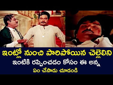 WHAT DID THE OLDER BROTHER DO TO BRING BACK HIS RUNAWAY SISTER | KRISHNAMRAJU |RANGANATH | V9 VIDEOS