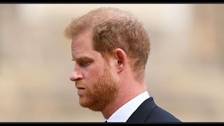 Sussex Squad Exposed: Pushing Prince Harry's Paranoid narratives