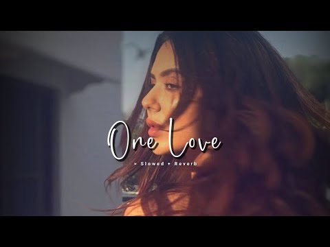 One Love ( Slowed & Reverb ) - Shubh