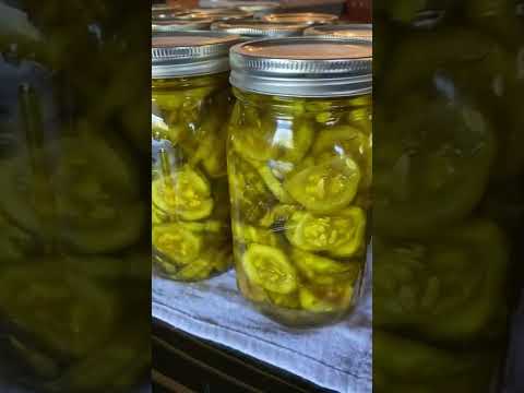 24 Quarts of Pickles