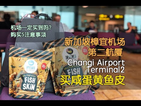 新加坡樟宜机场买咸蛋黄鱼皮 Irvins Salted Egg Fish Skin 购买注意5事项