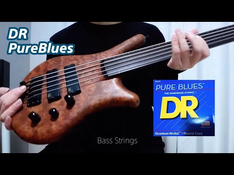 DR PURE BLUES on Fretless Bass