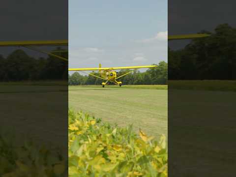 Quintessential classic tailwheel aircraft: the Piper J-3 Cub