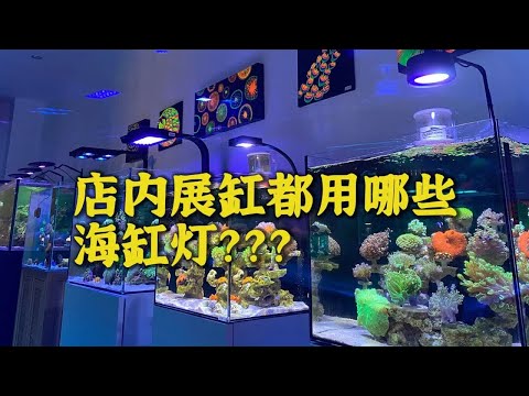 店内展缸海缸灯分享，一起来看看都用的是哪些灯吧